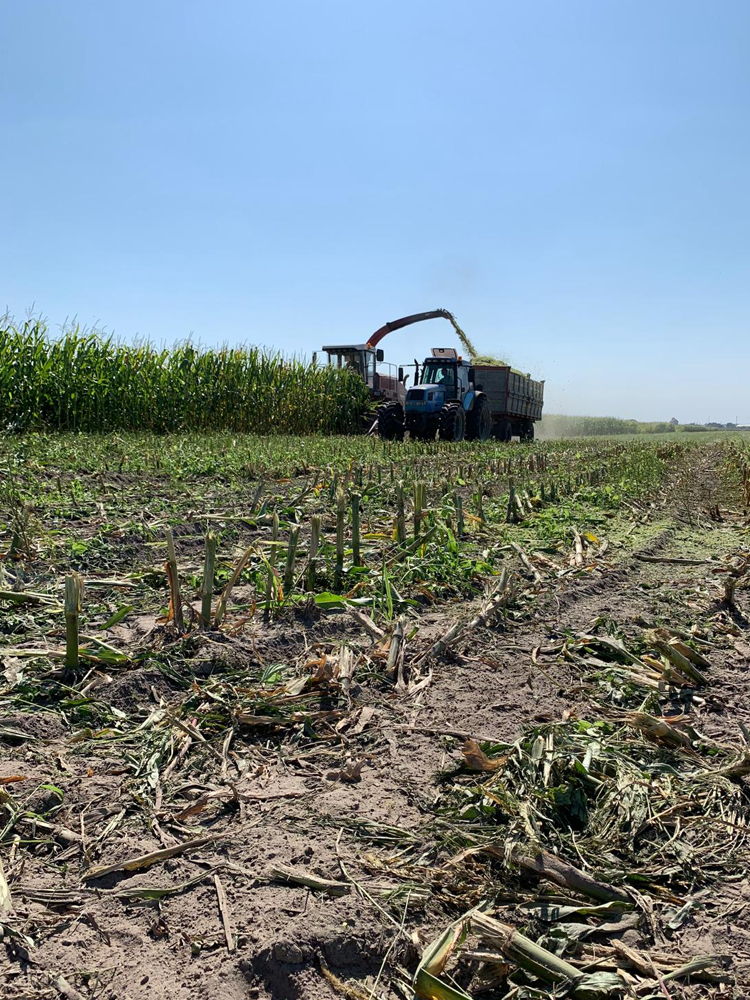 chi siamo carosello10