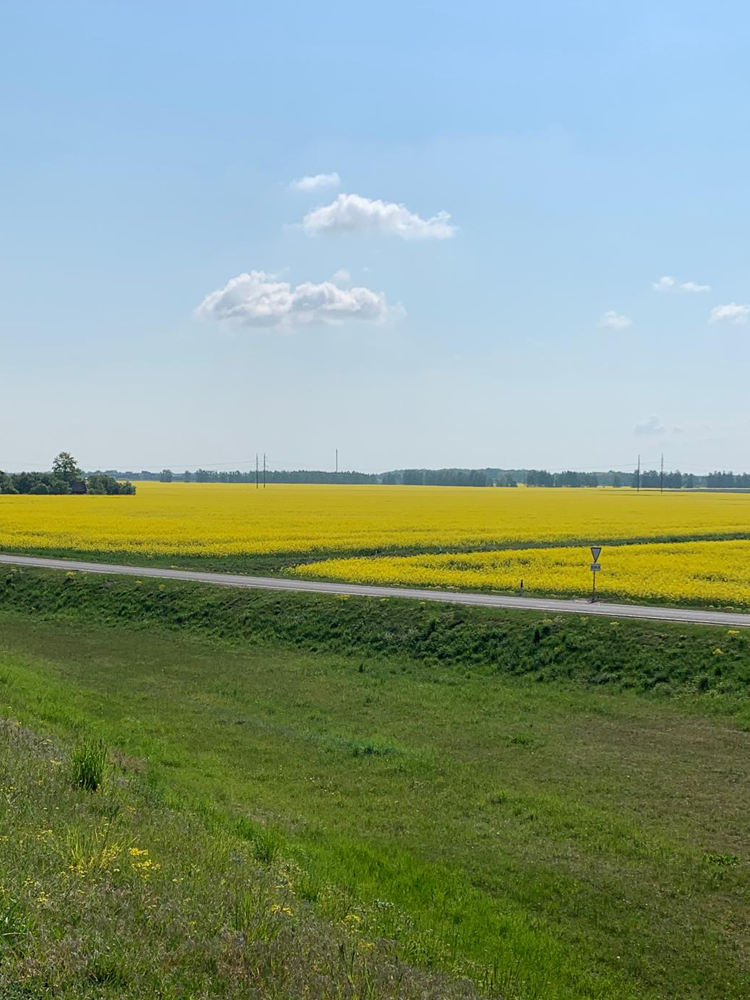 chi siamo carosello2