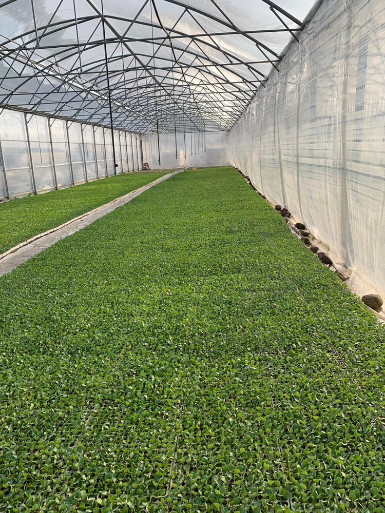 chi siamo carosello3