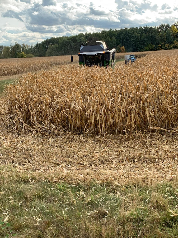 chi siamo carosello9